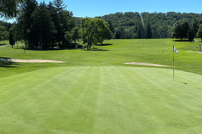 view of golf course green 